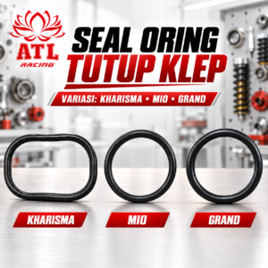 SEAL ORING